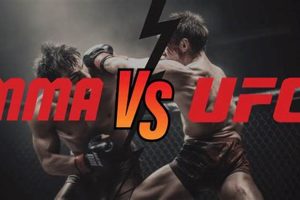 MMA vs. UFC: Key Differences & FAQs Ultimate Guide to MMA: Training, Techniques, and Top Fighters in The World MMA vs. UFC: Key Differences & FAQs | Ultimate Guide to MMA: Training, Techniques, and Top Fighters in The World