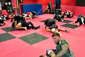 Top MMA Gyms & Training in Brentwood, Essex Ultimate Guide to MMA: Training, Techniques, and Top Fighters in The World Top MMA Gyms & Training in Brentwood, Essex | Ultimate Guide to MMA: Training, Techniques, and Top Fighters in The World