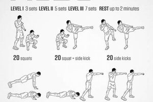 Ultimate Bodyweight Training for MMA Fighters Ultimate Guide to MMA: Training, Techniques, and Top Fighters in The World Ultimate Bodyweight Training for MMA Fighters | Ultimate Guide to MMA: Training, Techniques, and Top Fighters in The World