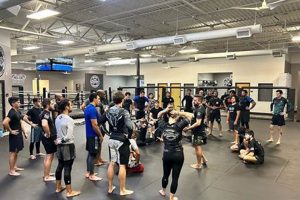 Train at The Grounds MMA: Top MMA Gym Ultimate Guide to MMA: Training, Techniques, and Top Fighters in The World Train at The Grounds MMA: Top MMA Gym | Ultimate Guide to MMA: Training, Techniques, and Top Fighters in The World