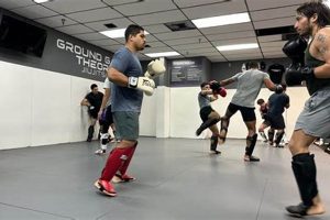 Best MMA Classes & Gyms in Miami, FL Ultimate Guide to MMA: Training, Techniques, and Top Fighters in The World Best MMA Classes & Gyms in Miami, FL | Ultimate Guide to MMA: Training, Techniques, and Top Fighters in The World