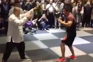 Epic Tai Chi Master vs. MMA Fighter Showdown! Ultimate Guide to MMA: Training, Techniques, and Top Fighters in The World Epic Tai Chi Master vs. MMA Fighter Showdown! | Ultimate Guide to MMA: Training, Techniques, and Top Fighters in The World