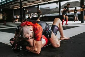 Ultimate MMA Training Guide for Fighters Ultimate Guide to MMA: Training, Techniques, and Top Fighters in The World Ultimate MMA Training Guide for Fighters | Ultimate Guide to MMA: Training, Techniques, and Top Fighters in The World