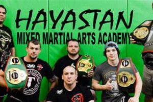 Authentic Hayastan MMA in North Georgia | Train Now Ultimate Guide to MMA: Training, Techniques, and Top Fighters in The World Authentic Hayastan MMA in North Georgia | Train Now | Ultimate Guide to MMA: Training, Techniques, and Top Fighters in The World