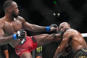 Top UK MMA Fighters: Best of Britain Ultimate Guide to MMA: Training, Techniques, and Top Fighters in The World Top UK MMA Fighters: Best of Britain | Ultimate Guide to MMA: Training, Techniques, and Top Fighters in The World