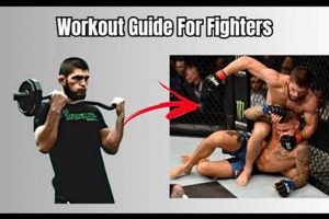 Ultimate Guide: How to Train MMA at Home Effectively Ultimate Guide to MMA: Training, Techniques, and Top Fighters in The World Ultimate Guide: How to Train MMA at Home Effectively | Ultimate Guide to MMA: Training, Techniques, and Top Fighters in The World