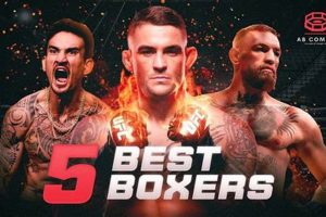 Boxers In Mma Ultimate Guide to MMA: Training, Techniques, and Top Fighters in The World Boxers In Mma | Ultimate Guide to MMA: Training, Techniques, and Top Fighters in The World