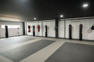The Ultimate Studio MMA Training Guide Ultimate Guide to MMA: Training, Techniques, and Top Fighters in The World The Ultimate Studio MMA Training Guide | Ultimate Guide to MMA: Training, Techniques, and Top Fighters in The World
