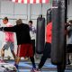 Top Beginner MMA Classes Near Me: Find Your Gym | Ultimate Guide to MMA: Training, Techniques, and Top Fighters in The World