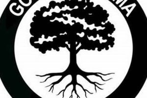 The Way of the Good Tree MMA Fighter Ultimate Guide to MMA: Training, Techniques, and Top Fighters in The World The Way of the Good Tree MMA Fighter | Ultimate Guide to MMA: Training, Techniques, and Top Fighters in The World