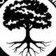 The Way of the Good Tree MMA Fighter | Ultimate Guide to MMA: Training, Techniques, and Top Fighters in The World