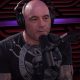 The Joe Rogan MMA Podcast Experience: Deep Dives | Ultimate Guide to MMA: Training, Techniques, and Top Fighters in The World
