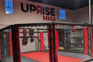 Train & Compete: Uprise MMA Events Ultimate Guide to MMA: Training, Techniques, and Top Fighters in The World Train & Compete: Uprise MMA Events | Ultimate Guide to MMA: Training, Techniques, and Top Fighters in The World