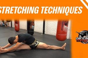 Ultimate Stretching for MMA Fighters: Boost Your Performance Ultimate Guide to MMA: Training, Techniques, and Top Fighters in The World Ultimate Stretching for MMA Fighters: Boost Your Performance | Ultimate Guide to MMA: Training, Techniques, and Top Fighters in The World