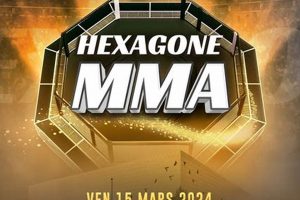 French Hexagone MMA: A Thriving Scene Ultimate Guide to MMA: Training, Techniques, and Top Fighters in The World French Hexagone MMA: A Thriving Scene | Ultimate Guide to MMA: Training, Techniques, and Top Fighters in The World
