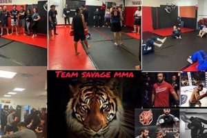 Team Savage Mma Ultimate Guide to MMA: Training, Techniques, and Top Fighters in The World Team Savage Mma | Ultimate Guide to MMA: Training, Techniques, and Top Fighters in The World