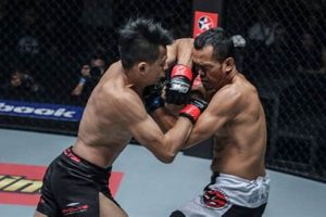 Is Muay Thai Effective for MMA? A Deep Dive Ultimate Guide to MMA: Training, Techniques, and Top Fighters in The World Is Muay Thai Effective for MMA? A Deep Dive | Ultimate Guide to MMA: Training, Techniques, and Top Fighters in The World