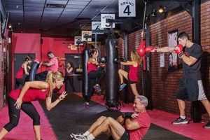 Best MMA Gyms Near Me | Find Your Fight Club Ultimate Guide to MMA: Training, Techniques, and Top Fighters in The World Best MMA Gyms Near Me | Find Your Fight Club | Ultimate Guide to MMA: Training, Techniques, and Top Fighters in The World