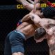Best Evansville MMA Gyms & Training | Ultimate Guide to MMA: Training, Techniques, and Top Fighters in The World