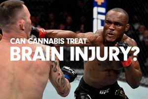 Understanding MMA Brain Injury Risks & Prevention Ultimate Guide to MMA: Training, Techniques, and Top Fighters in The World Understanding MMA Brain Injury Risks & Prevention | Ultimate Guide to MMA: Training, Techniques, and Top Fighters in The World