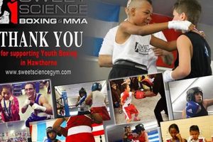 Mastering the Sweet Science of MMA Fighting Ultimate Guide to MMA: Training, Techniques, and Top Fighters in The World Mastering the Sweet Science of MMA Fighting | Ultimate Guide to MMA: Training, Techniques, and Top Fighters in The World
