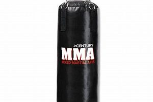 Best Century MMA Heavy Bag: Top Picks & Guide Ultimate Guide to MMA: Training, Techniques, and Top Fighters in The World Best Century MMA Heavy Bag: Top Picks & Guide | Ultimate Guide to MMA: Training, Techniques, and Top Fighters in The World