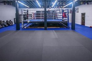Best MMA Gyms & Training in Wichita, KS Ultimate Guide to MMA: Training, Techniques, and Top Fighters in The World Best MMA Gyms & Training in Wichita, KS | Ultimate Guide to MMA: Training, Techniques, and Top Fighters in The World