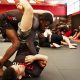 Find The Ultimate MMA Training Center Near You | Ultimate Guide to MMA: Training, Techniques, and Top Fighters in The World