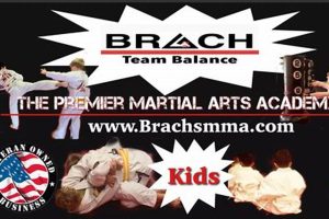 Sweet Brach's MMA Fighter Fuel: Candy & Cage Ultimate Guide to MMA: Training, Techniques, and Top Fighters in The World Sweet Brach's MMA Fighter Fuel: Candy & Cage | Ultimate Guide to MMA: Training, Techniques, and Top Fighters in The World