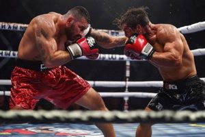 The Rise of MMA-Influenced Boxing Ultimate Guide to MMA: Training, Techniques, and Top Fighters in The World The Rise of MMA-Influenced Boxing | Ultimate Guide to MMA: Training, Techniques, and Top Fighters in The World