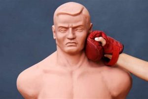 Master the MMA Bob: Essential Guide Ultimate Guide to MMA: Training, Techniques, and Top Fighters in The World Master the MMA Bob: Essential Guide | Ultimate Guide to MMA: Training, Techniques, and Top Fighters in The World