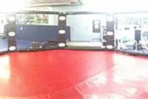 Top MMA Gyms & Training in Arlington, TX Ultimate Guide to MMA: Training, Techniques, and Top Fighters in The World Top MMA Gyms & Training in Arlington, TX | Ultimate Guide to MMA: Training, Techniques, and Top Fighters in The World