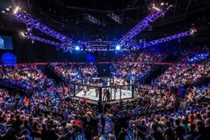 The Ultimate Guide to EFC MMA Events Ultimate Guide to MMA: Training, Techniques, and Top Fighters in The World The Ultimate Guide to EFC MMA Events | Ultimate Guide to MMA: Training, Techniques, and Top Fighters in The World