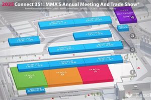 Mma Connect 351 | Ultimate Guide to MMA: Training, Techniques, and Top Fighters in The World