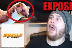 Mastering the Weasle MMA Fighting Style | Ultimate Guide to MMA: Training, Techniques, and Top Fighters in The World