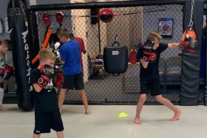 Best MMA Classes for Kids Near You Ultimate Guide to MMA: Training, Techniques, and Top Fighters in The World Best MMA Classes for Kids Near You | Ultimate Guide to MMA: Training, Techniques, and Top Fighters in The World