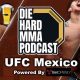 The Diehard MMA Podcast: For True Fans | Ultimate Guide to MMA: Training, Techniques, and Top Fighters in The World
