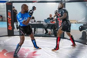 Top MMA League Fighters & Upcoming Events Ultimate Guide to MMA: Training, Techniques, and Top Fighters in The World Top MMA League Fighters & Upcoming Events | Ultimate Guide to MMA: Training, Techniques, and Top Fighters in The World