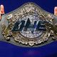 Ultimate Guide to MMA Title Belts: History & Facts | Ultimate Guide to MMA: Training, Techniques, and Top Fighters in The World
