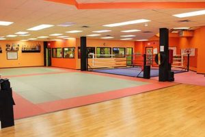 Best MMA Dojo: Train & Fight Like a Pro Ultimate Guide to MMA: Training, Techniques, and Top Fighters in The World Best MMA Dojo: Train & Fight Like a Pro | Ultimate Guide to MMA: Training, Techniques, and Top Fighters in The World