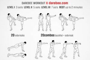 Ultimate Guide: Learn MMA at Home Effectively Ultimate Guide to MMA: Training, Techniques, and Top Fighters in The World Ultimate Guide: Learn MMA at Home Effectively | Ultimate Guide to MMA: Training, Techniques, and Top Fighters in The World
