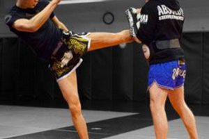 Level Up Your MMA: Personal Training Ultimate Guide to MMA: Training, Techniques, and Top Fighters in The World Level Up Your MMA: Personal Training | Ultimate Guide to MMA: Training, Techniques, and Top Fighters in The World