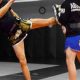 Level Up Your MMA: Personal Training | Ultimate Guide to MMA: Training, Techniques, and Top Fighters in The World