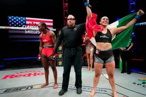 Clarissa Shields' MMA Losses: A Boxing Champ's Journey Ultimate Guide to MMA: Training, Techniques, and Top Fighters in The World Clarissa Shields' MMA Losses: A Boxing Champ's Journey | Ultimate Guide to MMA: Training, Techniques, and Top Fighters in The World