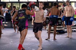 The Ultimate Guide to Thai MMA Training Ultimate Guide to MMA: Training, Techniques, and Top Fighters in The World The Ultimate Guide to Thai MMA Training | Ultimate Guide to MMA: Training, Techniques, and Top Fighters in The World