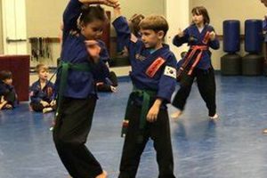 Best MMA Gyms & Training in Fort Myers, FL Ultimate Guide to MMA: Training, Techniques, and Top Fighters in The World Best MMA Gyms & Training in Fort Myers, FL | Ultimate Guide to MMA: Training, Techniques, and Top Fighters in The World