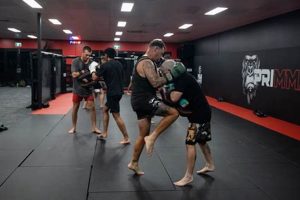 Unleash Your Inner Fighter: Primal MMA Training Ultimate Guide to MMA: Training, Techniques, and Top Fighters in The World Unleash Your Inner Fighter: Primal MMA Training | Ultimate Guide to MMA: Training, Techniques, and Top Fighters in The World