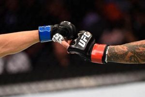 Most Paid Mma Fighter Ultimate Guide to MMA: Training, Techniques, and Top Fighters in The World Most Paid Mma Fighter | Ultimate Guide to MMA: Training, Techniques, and Top Fighters in The World