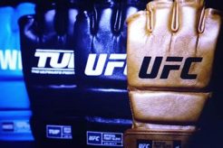 Best New MMA Gloves: Top Fighting Gear Ultimate Guide to MMA: Training, Techniques, and Top Fighters in The World Best New MMA Gloves: Top Fighting Gear | Ultimate Guide to MMA: Training, Techniques, and Top Fighters in The World