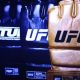 Best New MMA Gloves: Top Fighting Gear | Ultimate Guide to MMA: Training, Techniques, and Top Fighters in The World